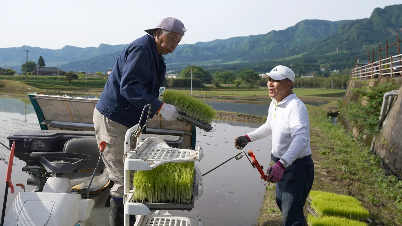 田植えする緒方さん