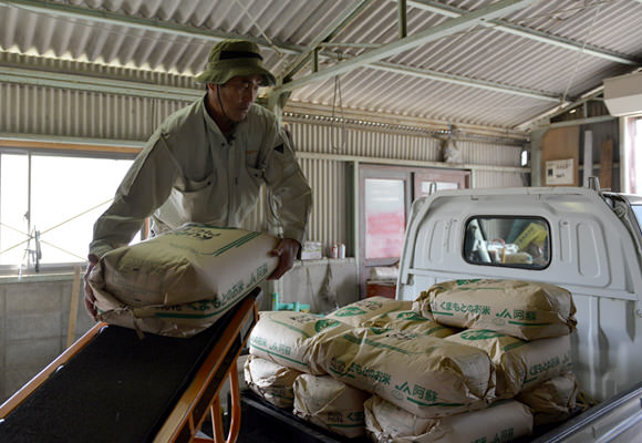 乾燥と籾摺りを終えたお米は袋詰めしてトラックに詰んで当店へ。延々と30kgの米袋を担いでは積んでいく作業は除草と同じくらいキツいのです。