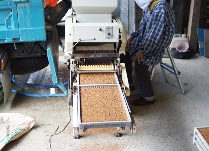 さすがに手作業ではなく、半自動の機械を使って種蒔きを行う。籾量の調整はバァちゃんの役目だ。